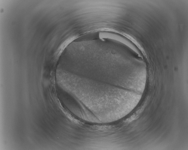 X0000067461289200605051612