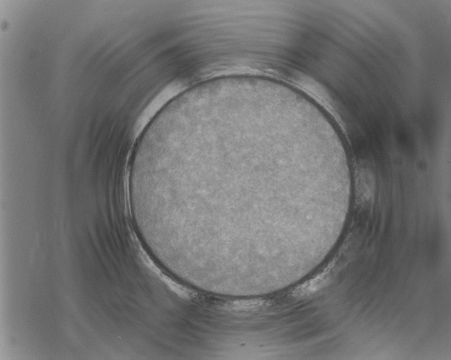 X0000067461290200605051612