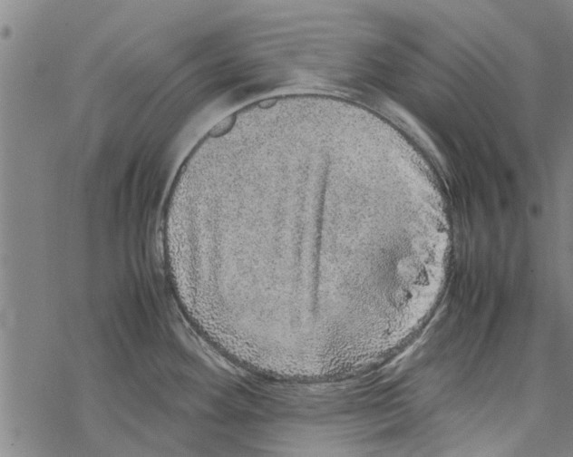 X0000067461292200605051612