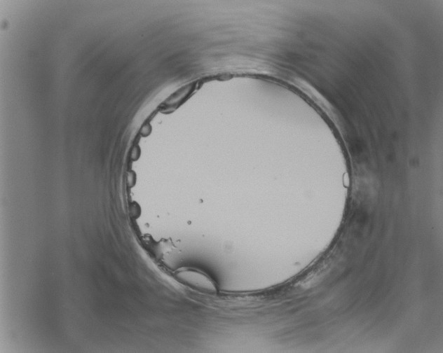 X0000067461293200605051612