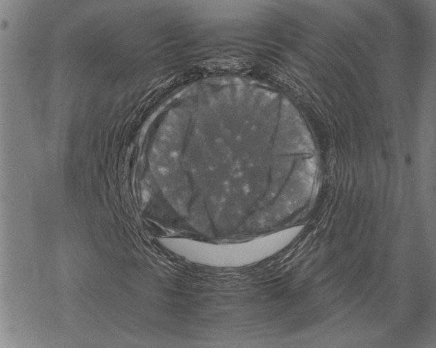 X0000067461297200605051611