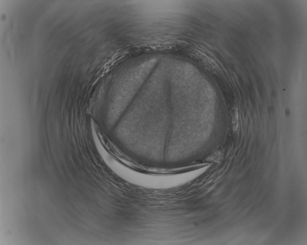 X0000067461298200605051611