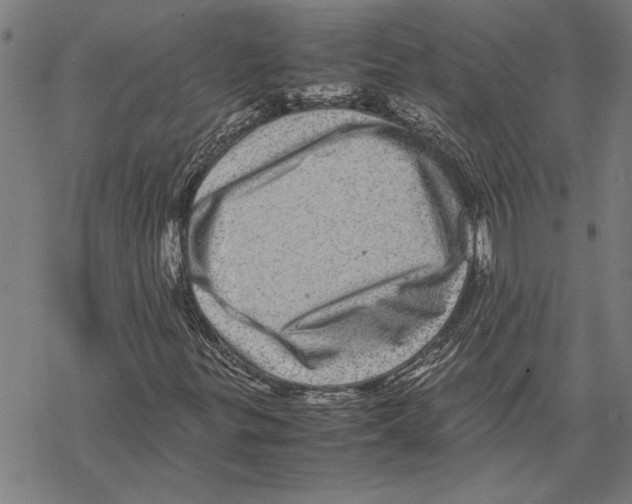 X0000067461299200605051611