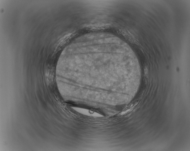 X0000067461300200605051611