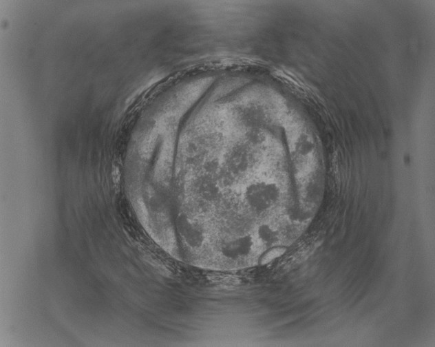 X0000067461302200605051611