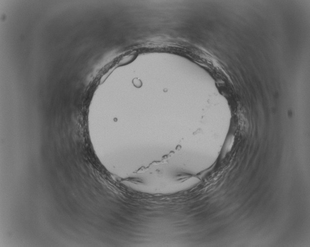 X0000067461304200605051612