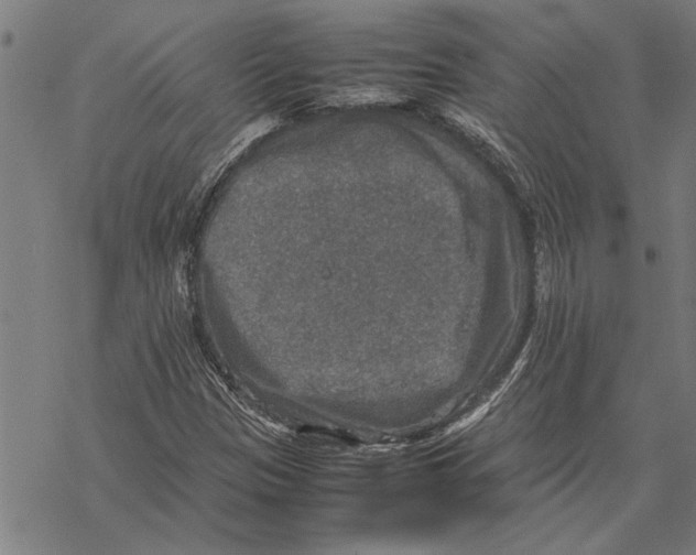 X0000067461305200605051612