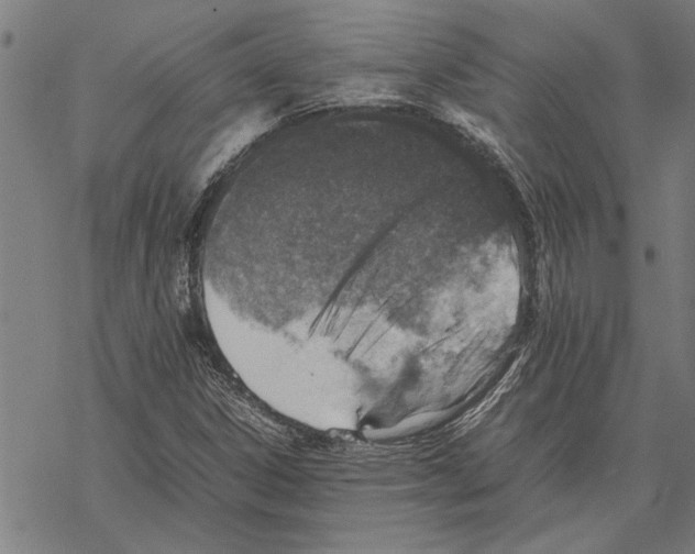 X0000067461306200605051612