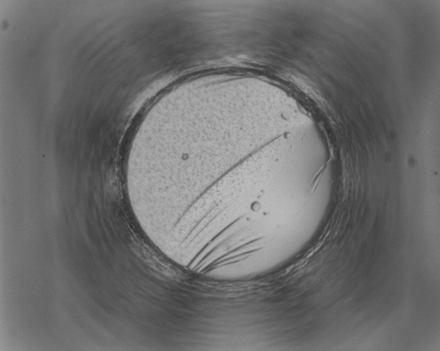 X0000067461308200605051612