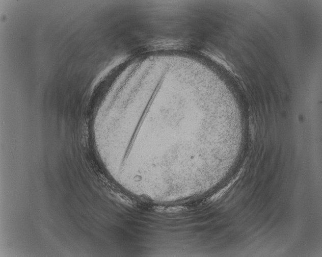 X0000067461309200605051612