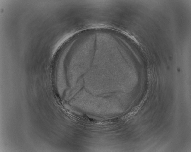 X0000067461311200605051612