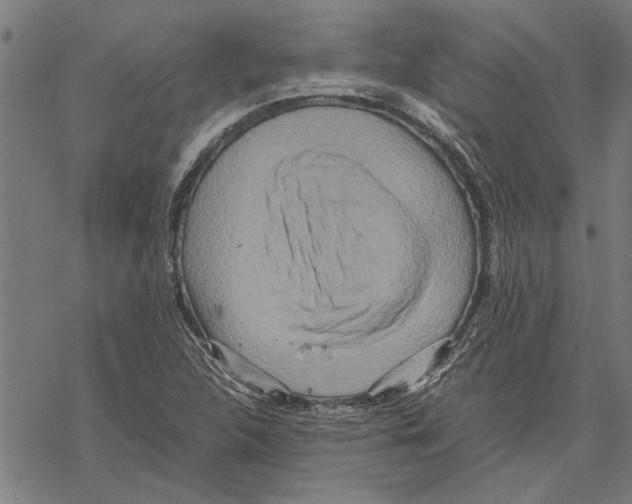 X0000067461312200605051612