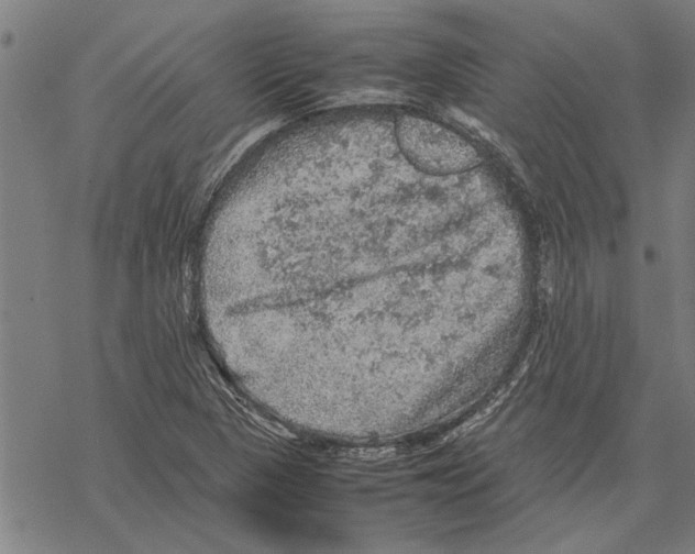 X0000067461313200605051612