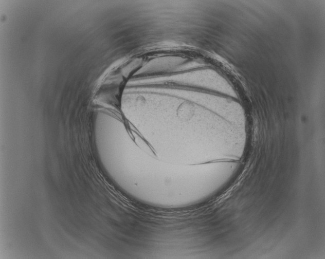 X0000067461314200605051612