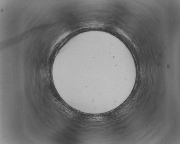 X0000067461315200605051612