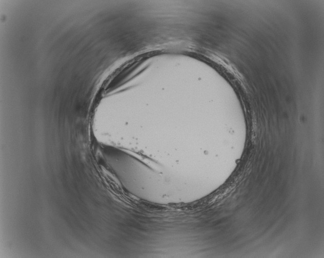 X0000067461316200605051612