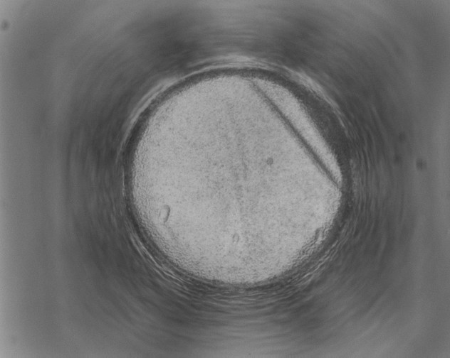 X0000067461318200605051612