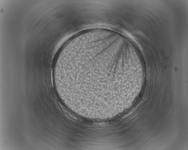 X0000067461320200605051612