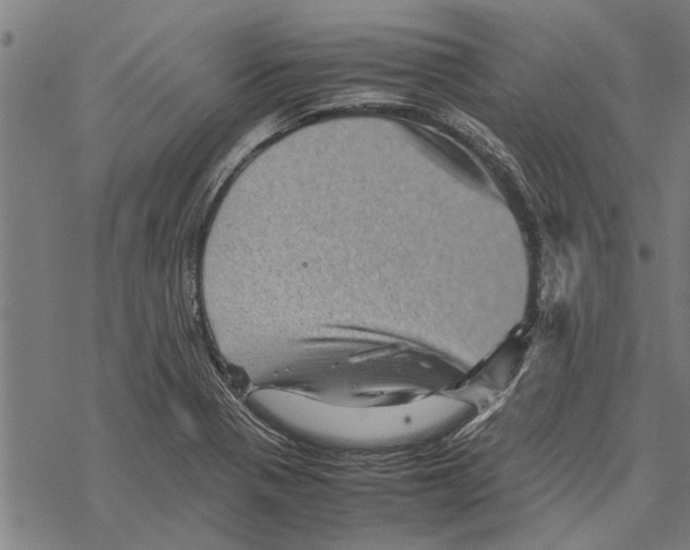 X0000067461321200605051612