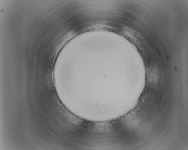 X0000067461322200605051612