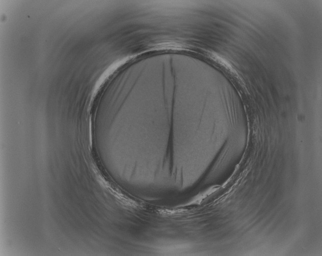 X0000067461323200605051612