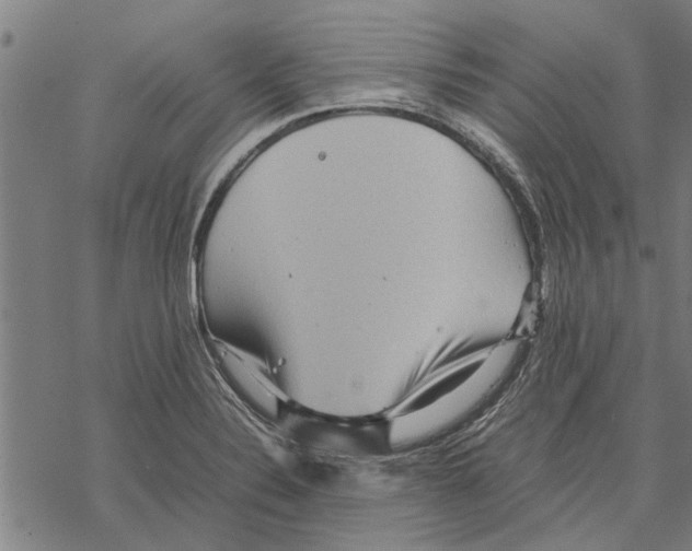 X0000067461324200605051612