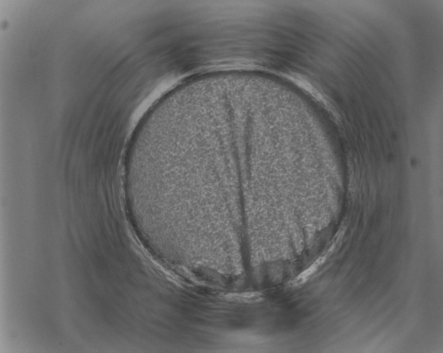 X0000067461325200605051612