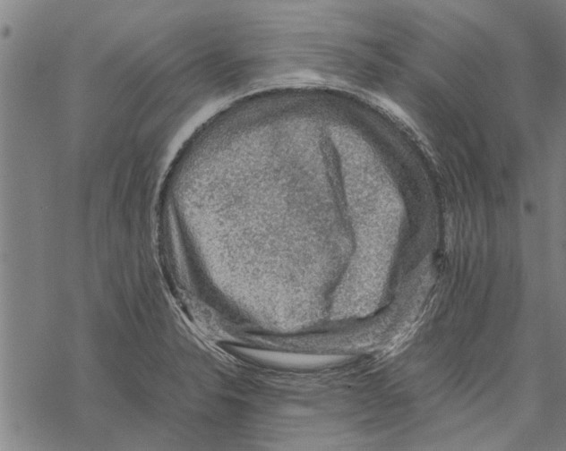 X0000067461326200605051612