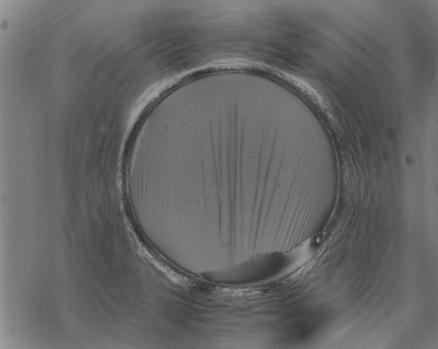 X0000067461327200605051612