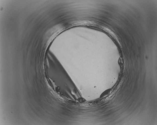 X0000067461330200605051612