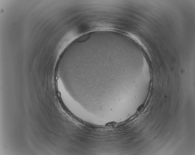 X0000067461331200605051612