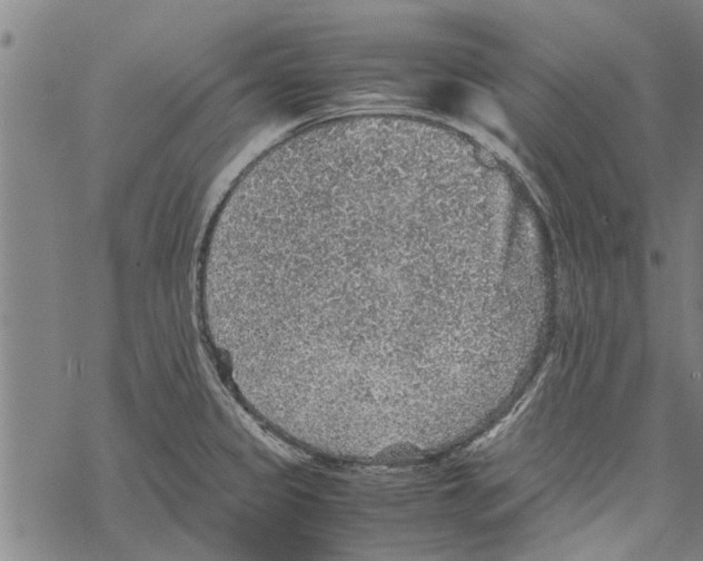 X0000067461333200605051612