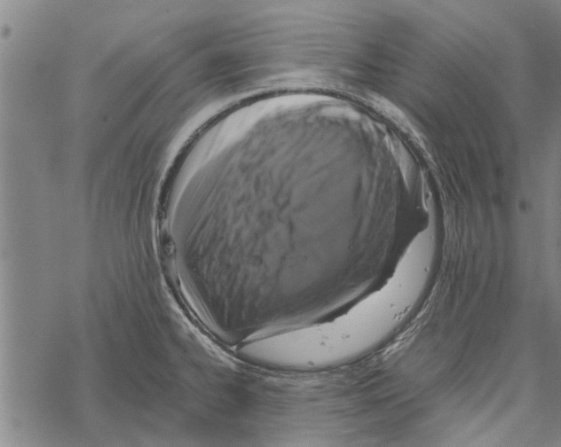 X0000067461334200605051612