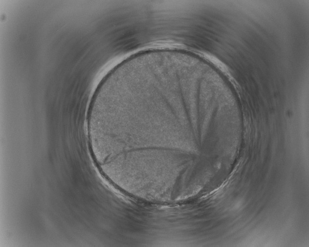 X0000067461335200605051612