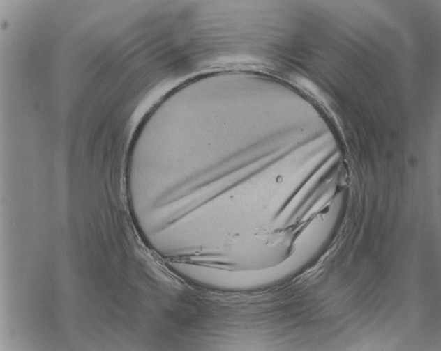 X0000067461336200605051612