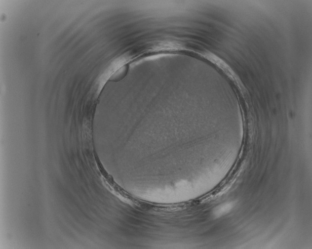 X0000067461337200605051612