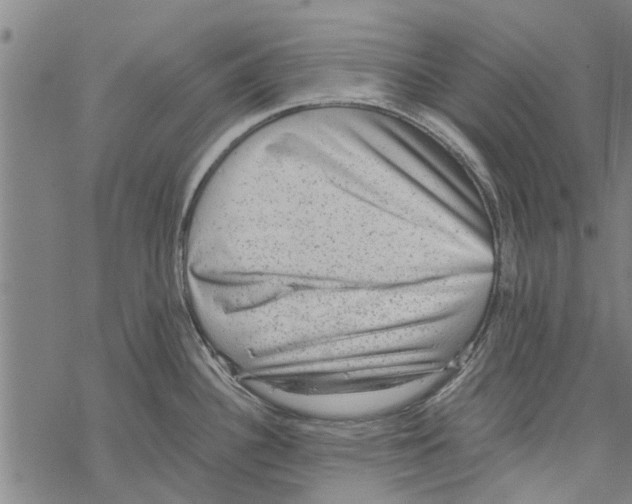 X0000067461340200605051612