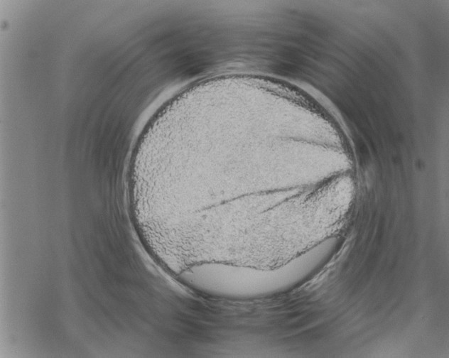 X0000067461341200605051612