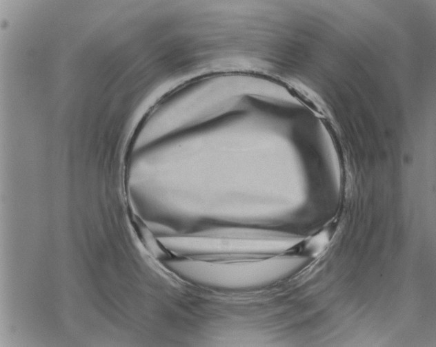 X0000067461342200605051612