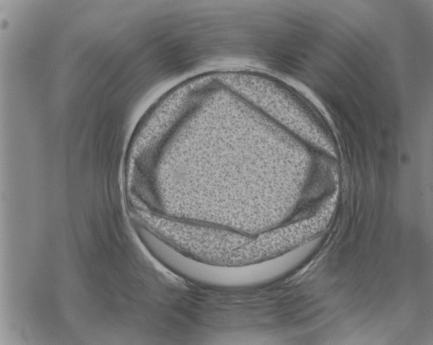 X0000067461343200605051612