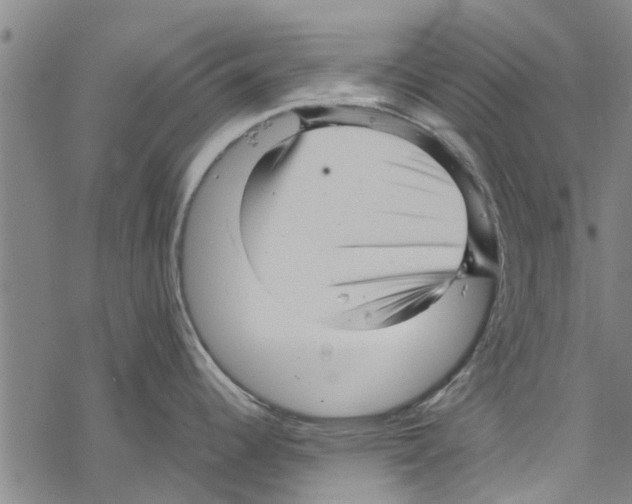 X0000067461344200605051612