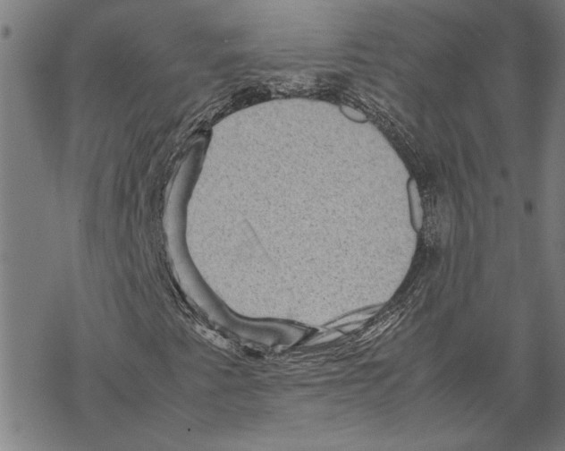 X0000067461345200605051611