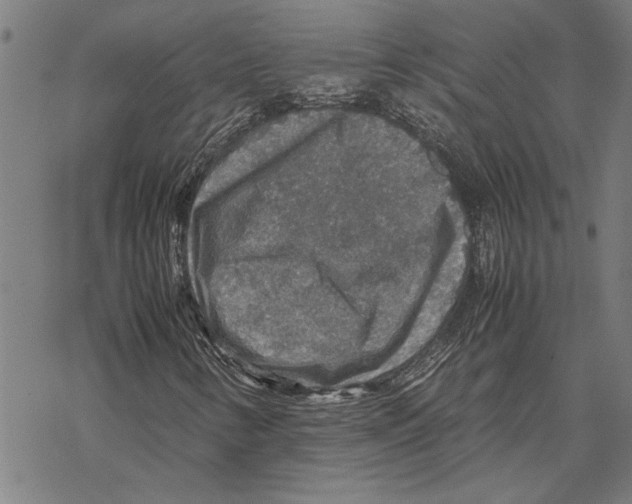 X0000067461346200605051611