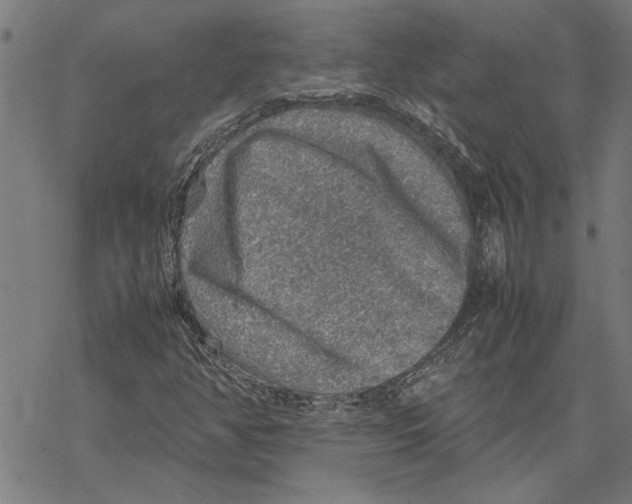 X0000067461350200605051611