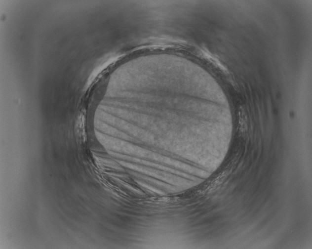 X0000067461352200605051611