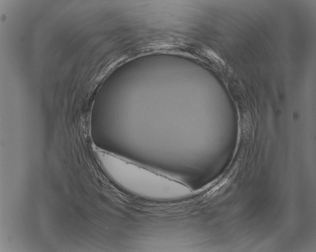 X0000067461353200605051611