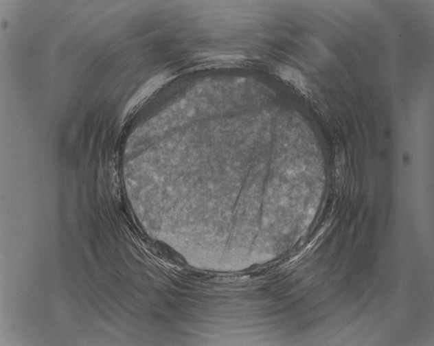 X0000067461354200605051611