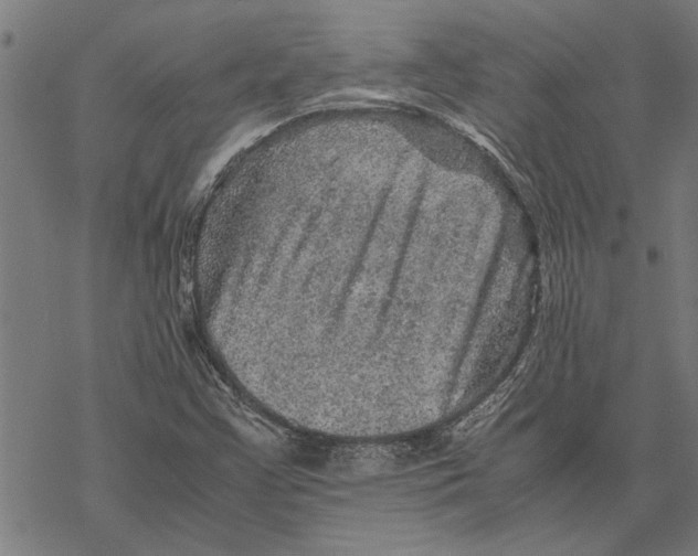 X0000067461355200605051611