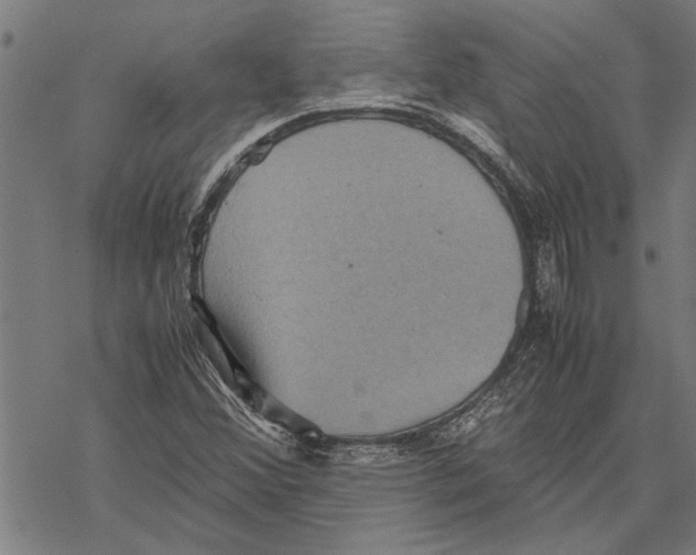 X0000067461356200605051611