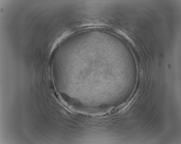 X0000067461357200605051611